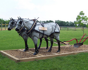 Horse Farm Display
