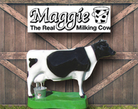 Maggie, The Real Milking Cow
