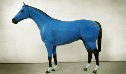 Blue Thoroughbred Horse