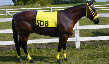 Race Horse Markings