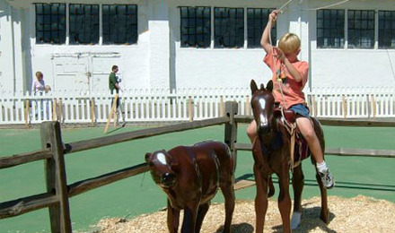 Roping A Cow