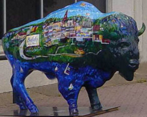 Buffalo city buffalo