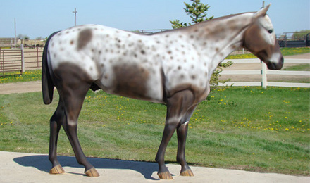 Custom Appaloosa