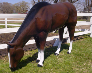 Grazing Horse