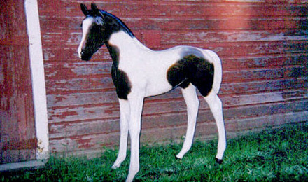Paint Foal