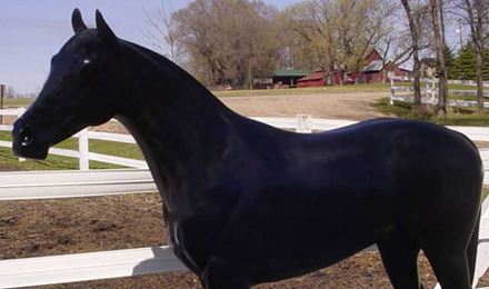 Black Matte Thoroughbred