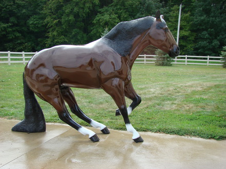 Reining Horse