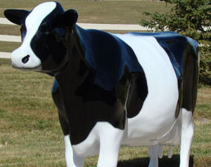 Dairy Cow