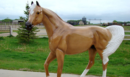 Palomino Arabian