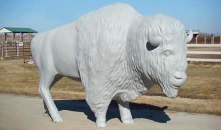 Primed Buffalo