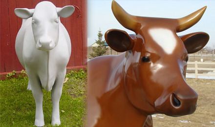 Primed (left), Brown Swiss (right)