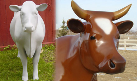 Primed (left), Brown Swiss (right)