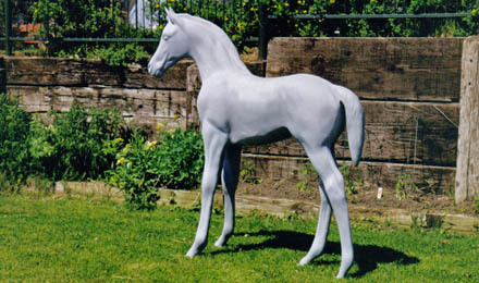 Primed Foal