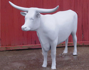 Longhorn Cow