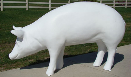 Primed Pig