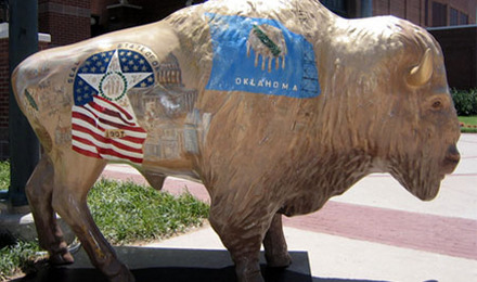 Oklahoma Buffalo